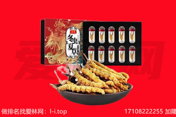 康定市回收虫草.jpg